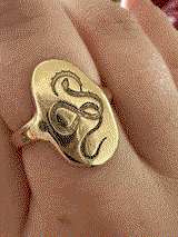Ashley S. review photo