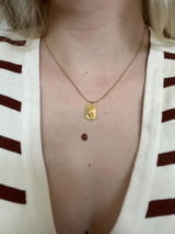 Kelly S review photo