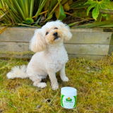 Poppy Ollett review photo