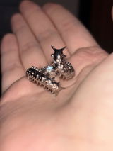Asher S review photo