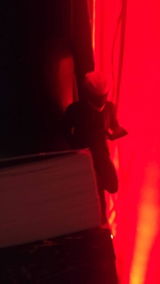 Rose review photo