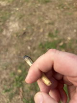 Anonymous review photo