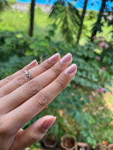 Prateeksha Karanth review photo