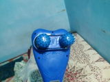 Avinashavi Chauhan review photo