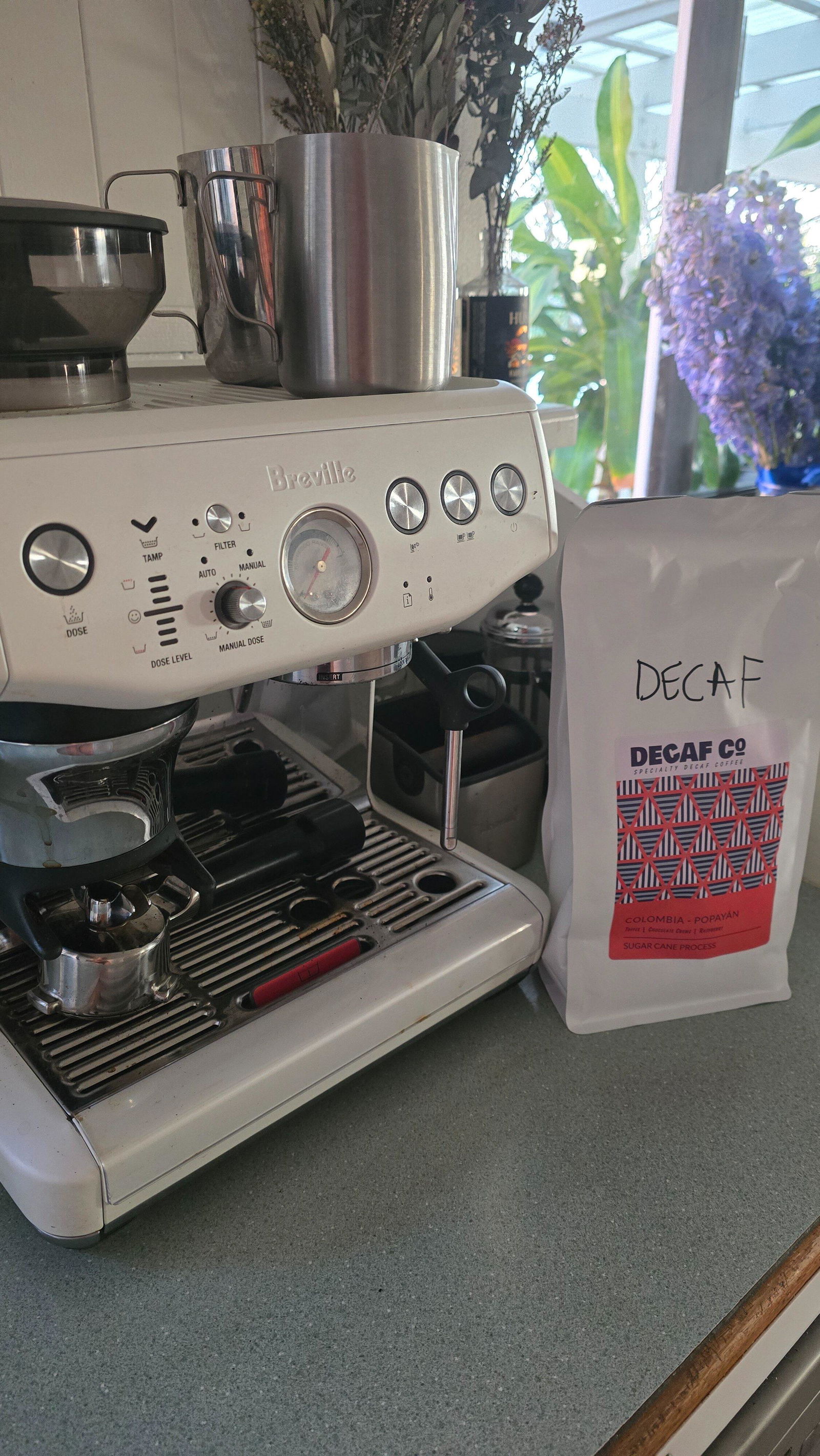 Colombia - Popayán (Sugar Cane Decaf) – DecafCo