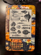 Breanna H. review photo