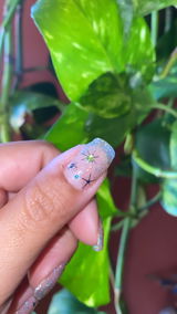 Graciie review photo