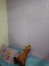 Gladys Maneiro review photo