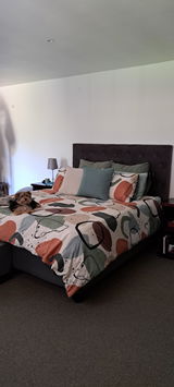Phillippa V. review photo