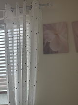 Li review photo