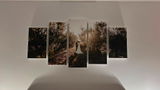 D.G. review photo