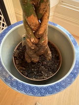 Large Blue & White Floral Planter