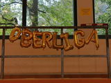Babette G. review photo