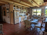 Mitzi's new pad :-) review photo