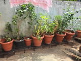 Mishra review photo