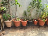 Mishra review photo