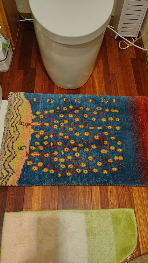 76×52cm ペルシャ絨毯 手織りギャッベアマレ族
