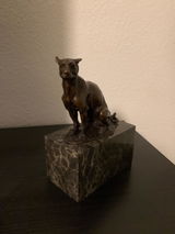 Philipp B review photo