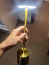 Diego Viana review photo