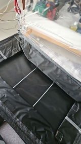 Taís Subtil review photo