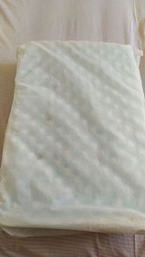 Samuel Gomes review photo