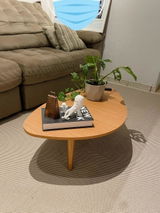 Felipe Gil review photo