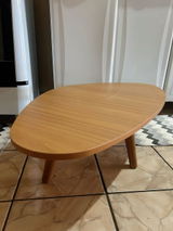 Gustavo Ramos review photo
