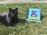 Customer review photo
