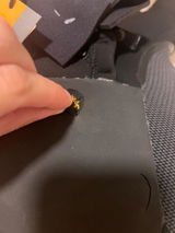 C.S. review photo