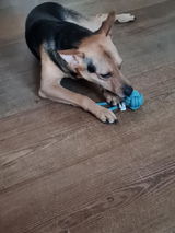 Bianca review photo