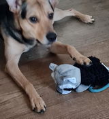 Bianca review photo