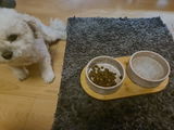 Dani&Wolle review photo