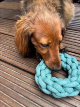 Nicola Shipley review photo