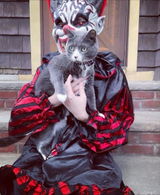 Twiztidcutesunflower review photo
