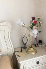 David Green review photo