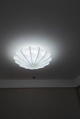 Lisa Turner review photo