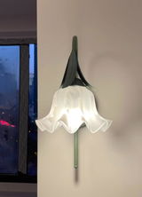 Liam Harris review photo