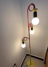 Tyler Scott review photo