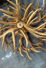Seren Calder review photo