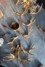 Seren Calder review photo
