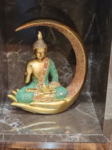 Sireesha review photo
