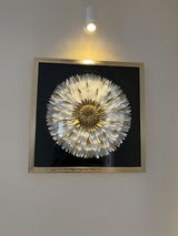 Manju Gupta review photo