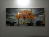 Debesh Saha review photo