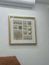 Trupti reddy review photo