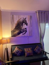 Seema review photo