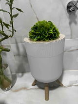 Semra review photo