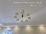 bernice review photo