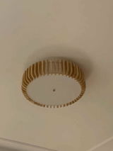 hebe review photo