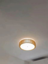 Whitney review photo