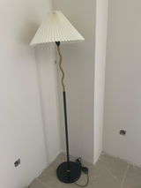 Remo review photo